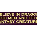 Bumper Sticker I Believe in Dragons