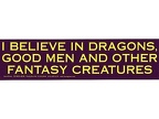 Bumper Sticker I Believe in Dragons
