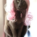cosplay kitty wigs 02