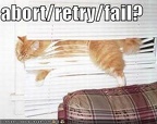 funny pictures cat blinds abort retry fail
