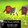 funny pictures dont kill kittens 9j