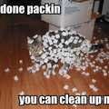 im done packing you can clean up now cat covered i1