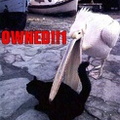 ownedcat