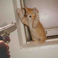 stick em up cat burglar