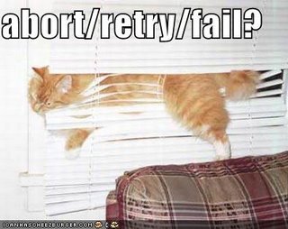 funny_pictures_cat_blinds_abort_retry_fail.jpg
