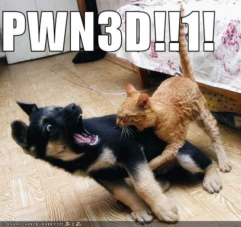 funny_pictures_cat_pwns_dog.jpg