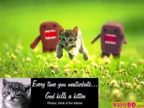 funny_pictures_dont_kill_kittens_9j.jpg