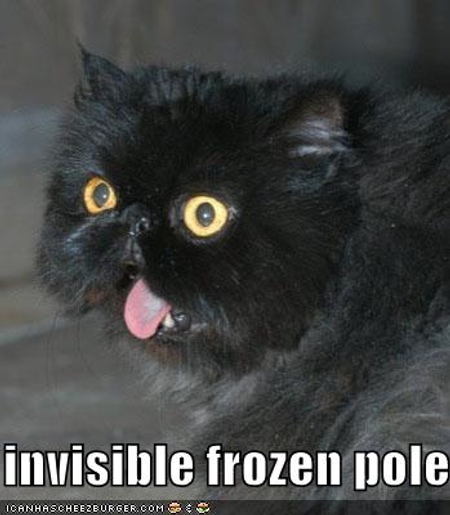 invisible frozen pole