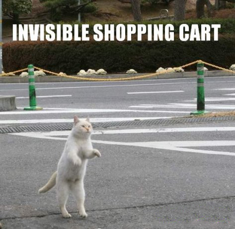 invisibleshopingcart